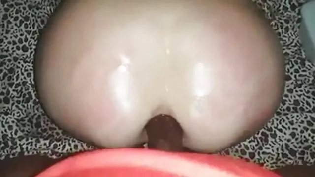 鄰居的女兒，經常是貓